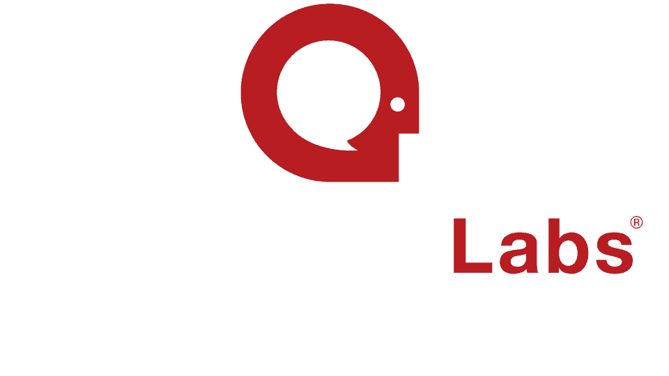 Serendipity Labs
