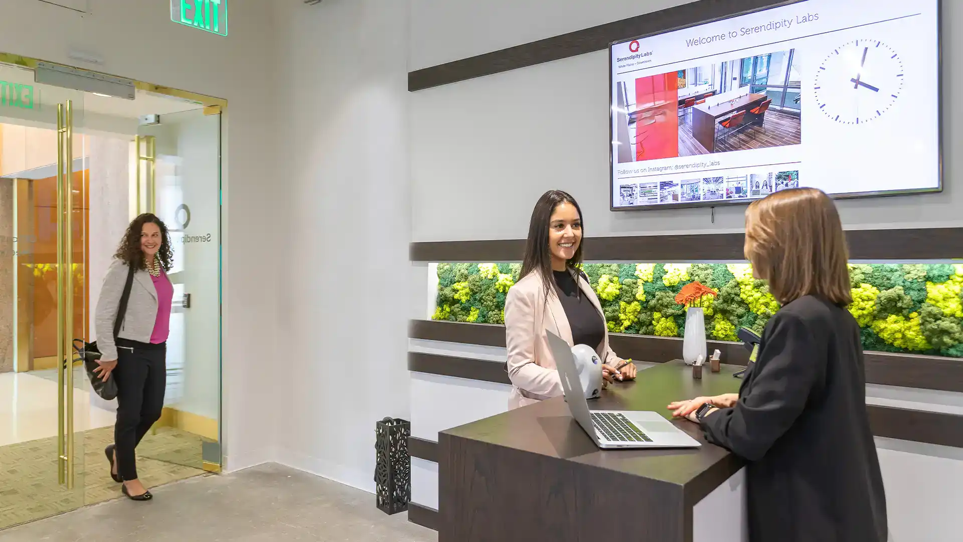 Serendipity Labs Coworking and Office Spaces White plains NY