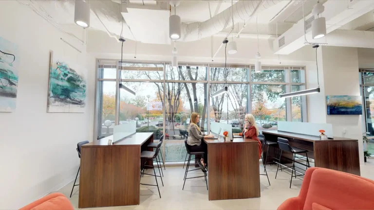 Two women sit across from each other at a high table in a modern Serendipity Labs coworking space, featuring large windows, wood furnishings, and views of trees with autumn leaves outside.