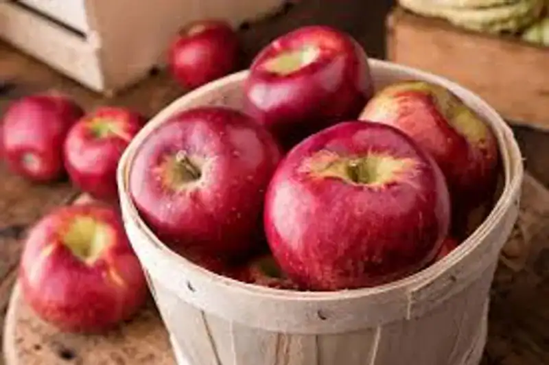 National Apple Day