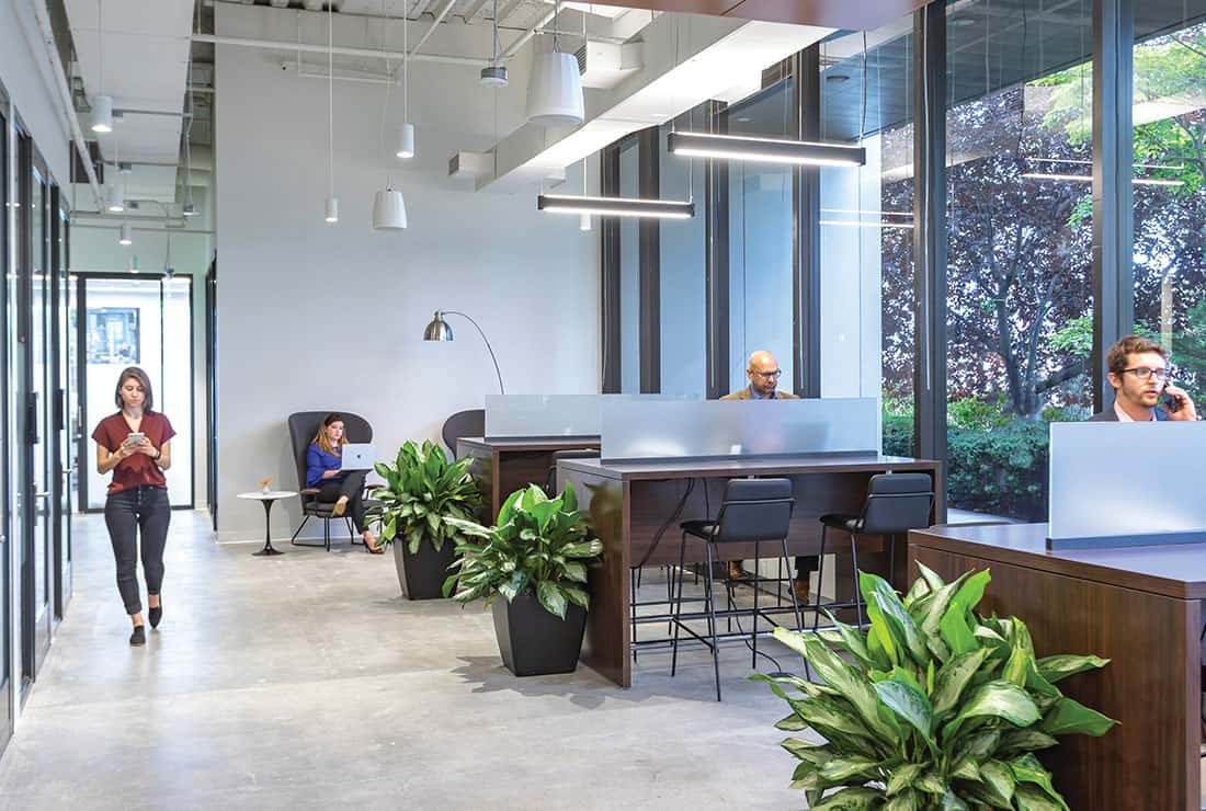 white plains coworking
