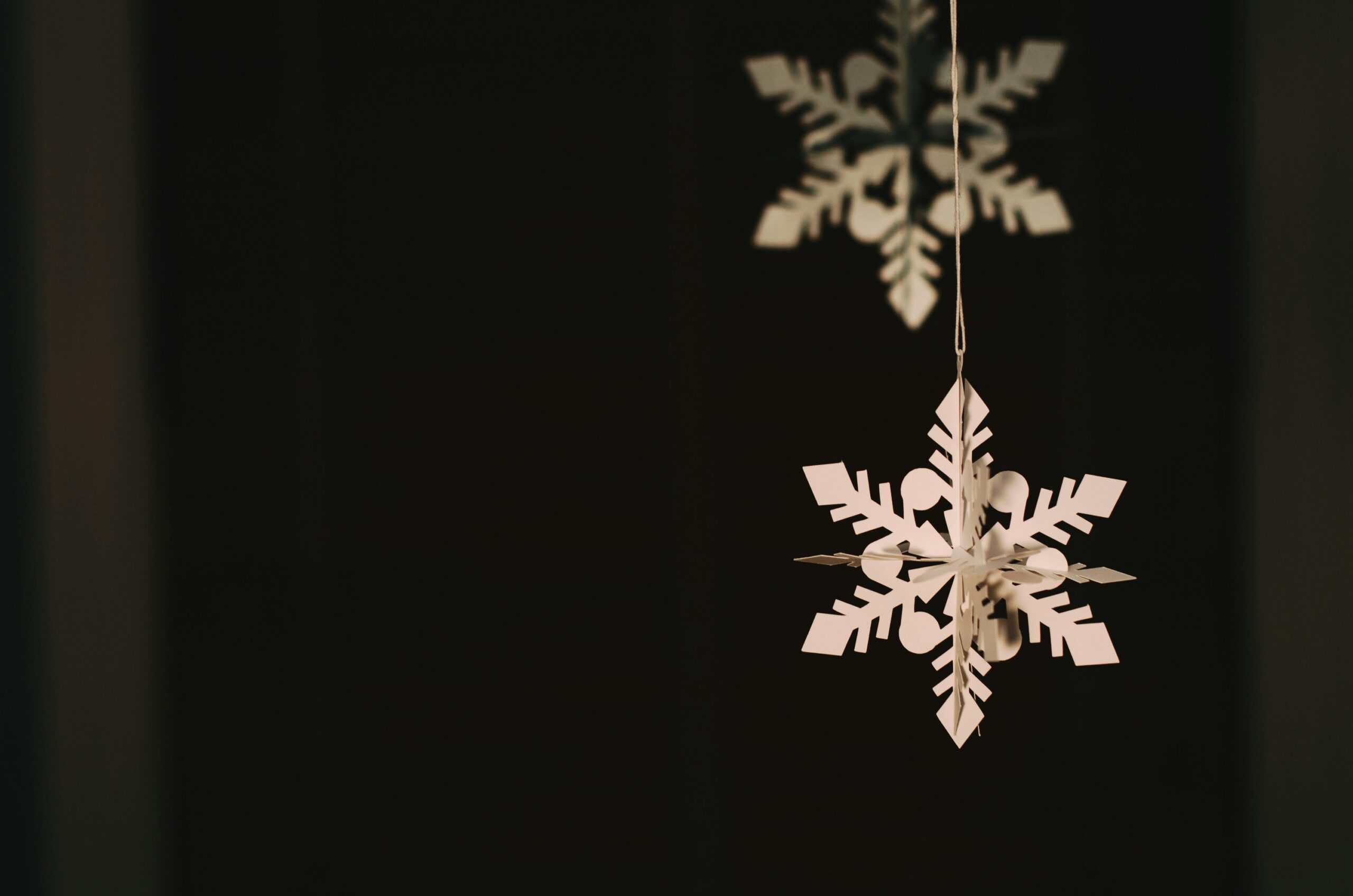 Holiday Craft Day