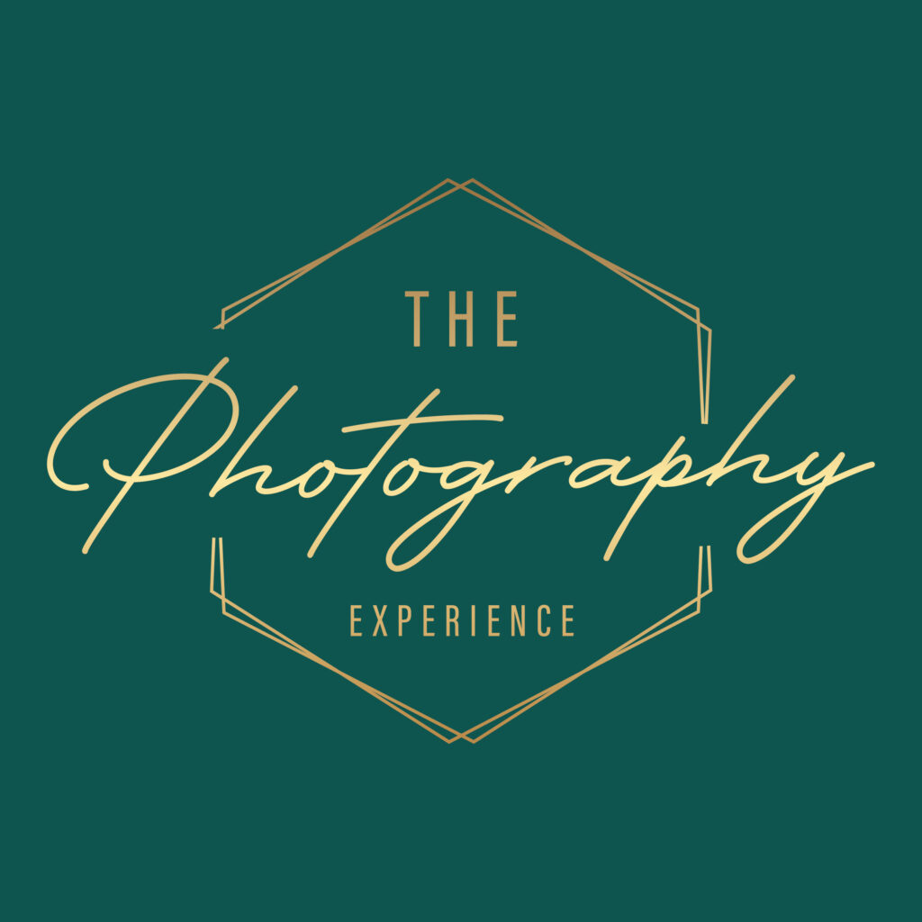 11/8 - Entrepreneurs Guide to Photography