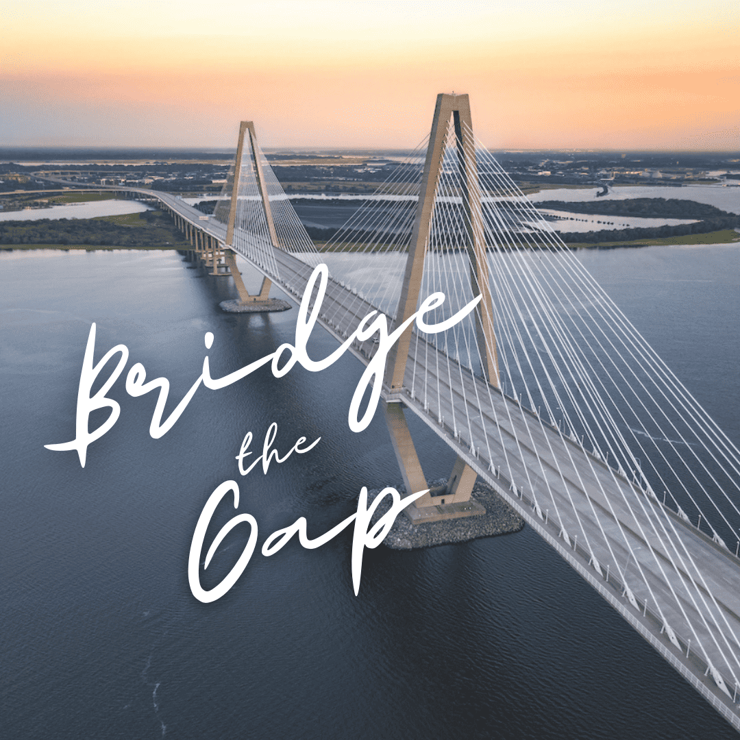 Bridge the Gap: Networking Event