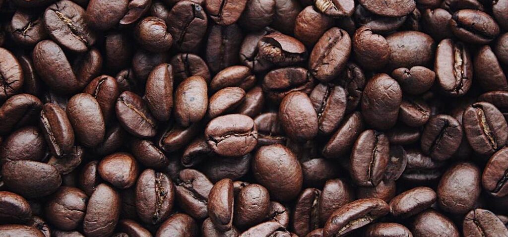 Coffee & Connections