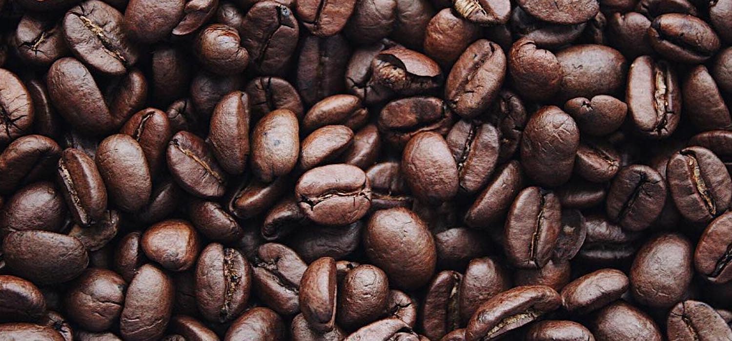 Coffee & Connections