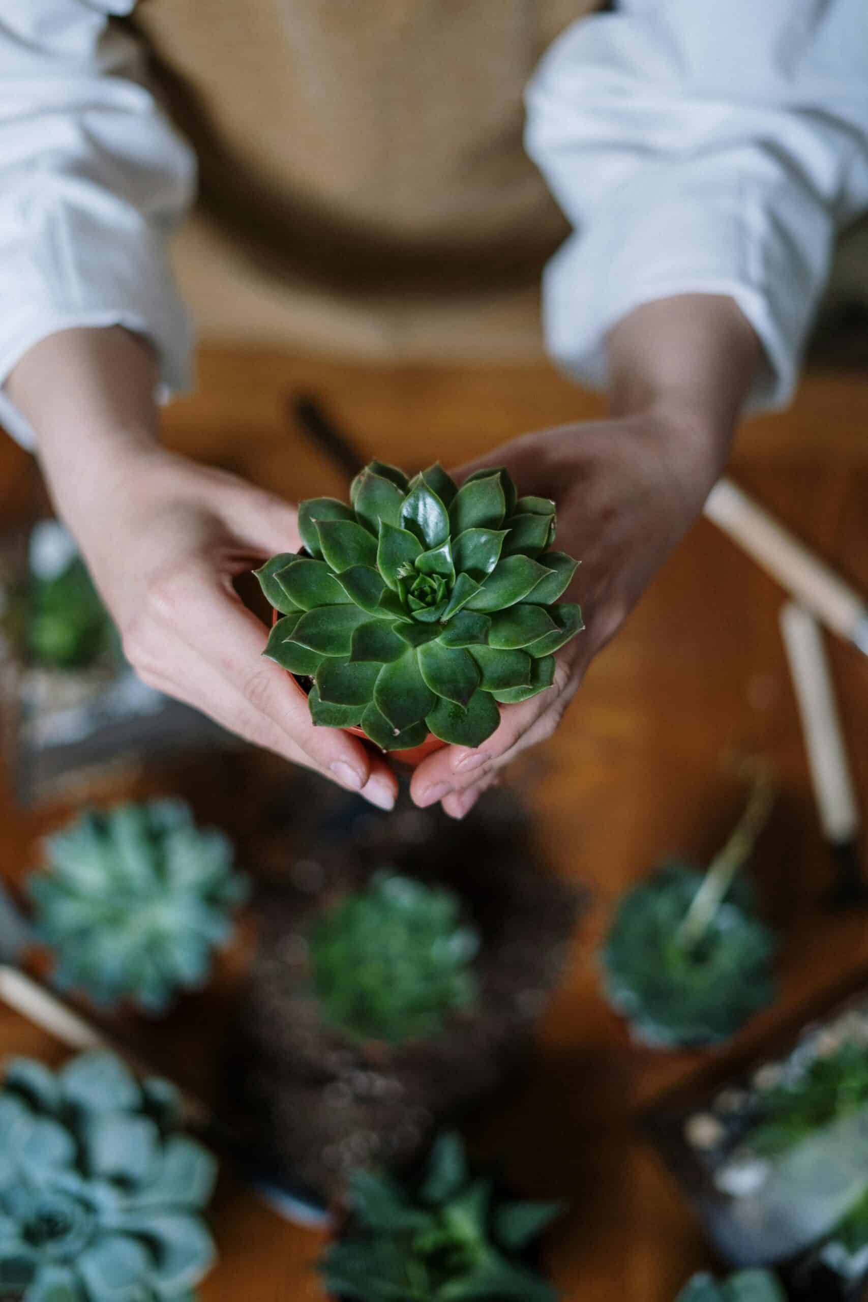 Plant Palooza: An Earth Day Celebration